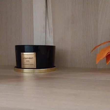 Apartment The Cozy Nest Retreat Bucharest